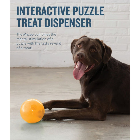 Planet Dog Orbee Mazee Orange Interactive Dog Toy - Poudre Pet & Feed Supply 3